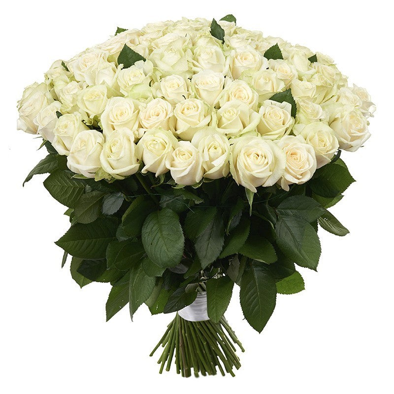 Buchet De 101 Trandafiri Albi Livrare Instanta Florarie Online The Million Roses Romania 9771