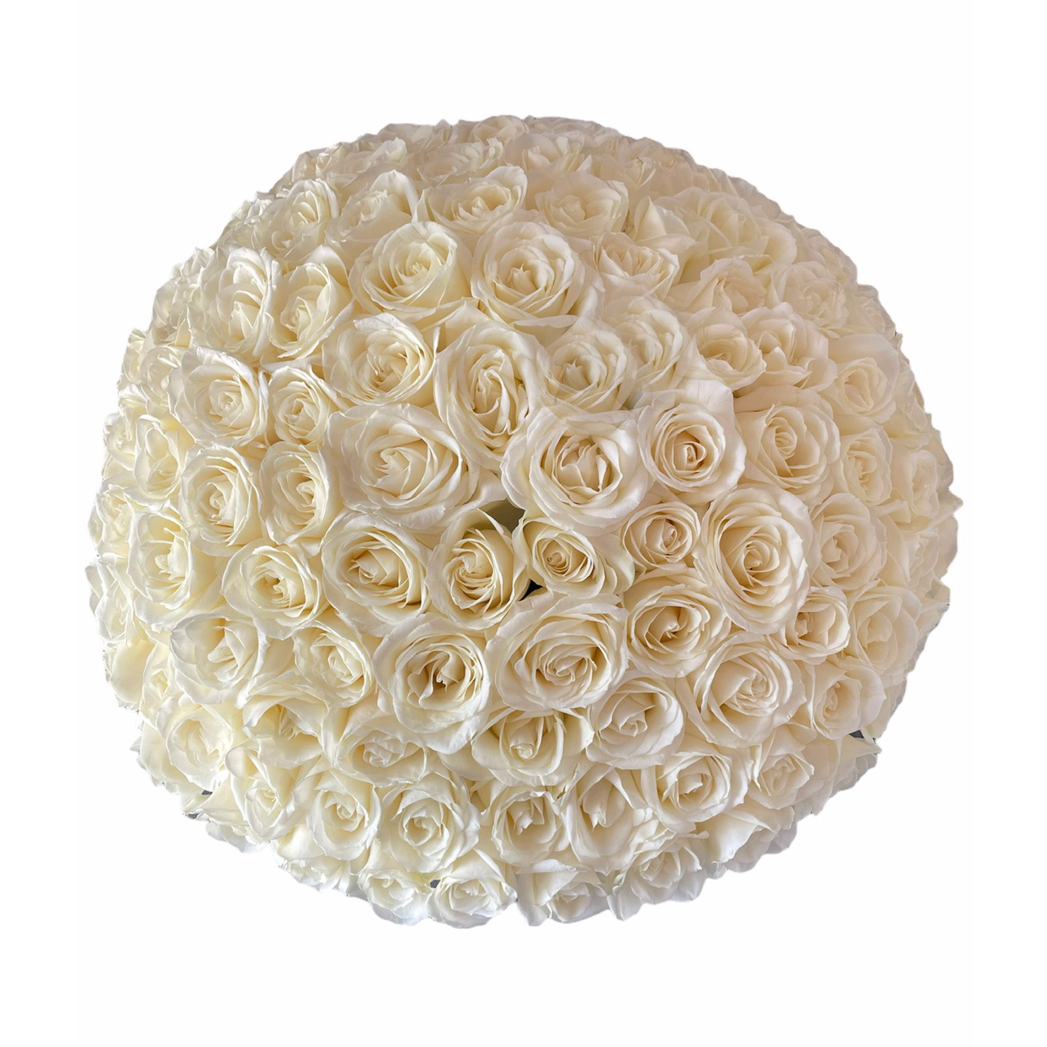 Aranjament imens din 151 de trandafiri albi in cutie mare