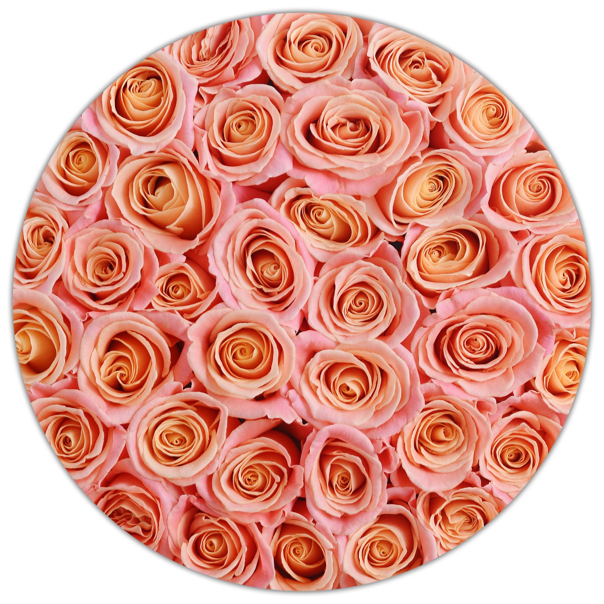 Aranjament floral cu trandafiri naturali somon in cutie medie