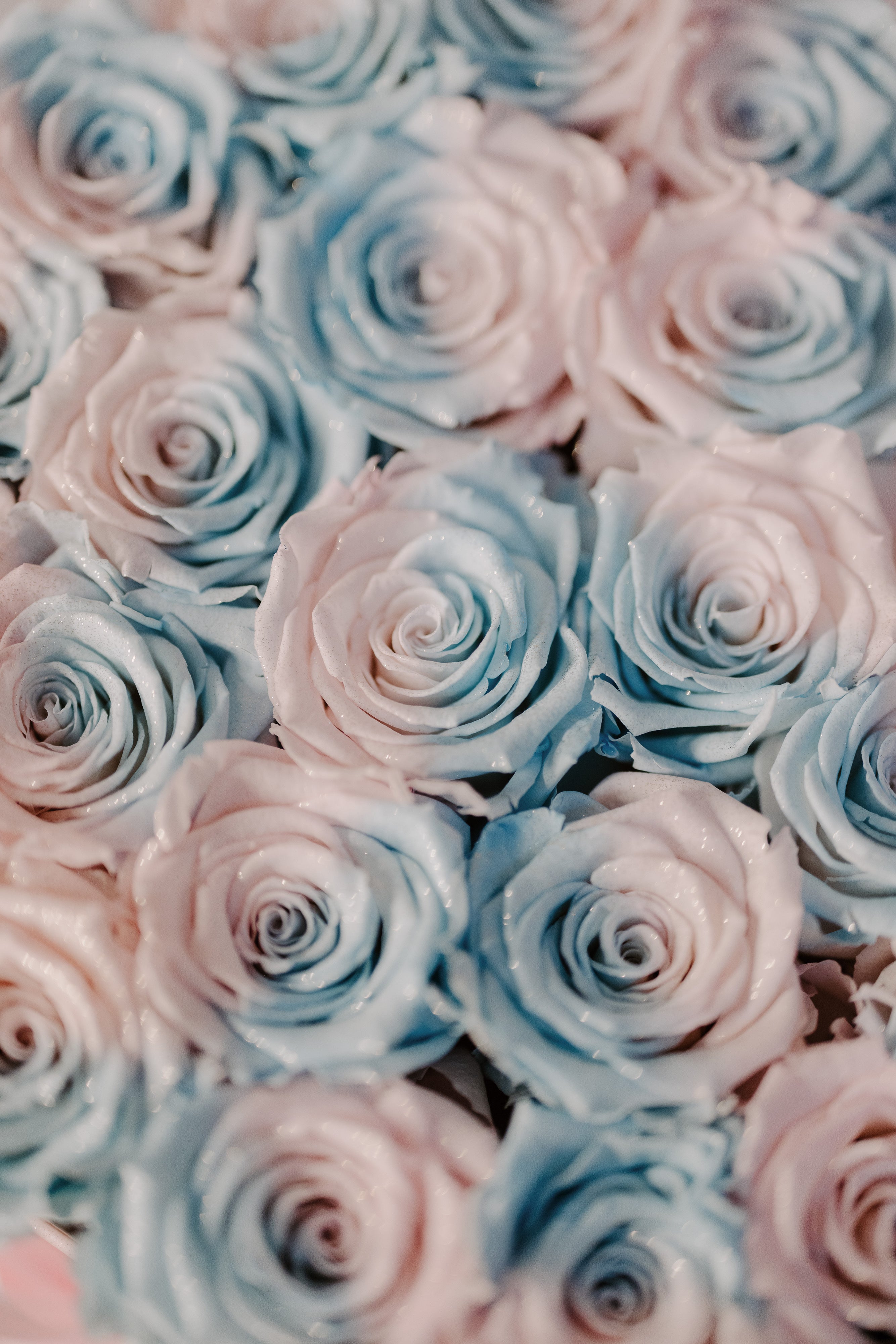 Aranjament de trandafiri criogenati in cutie inima-Frozen dreams
