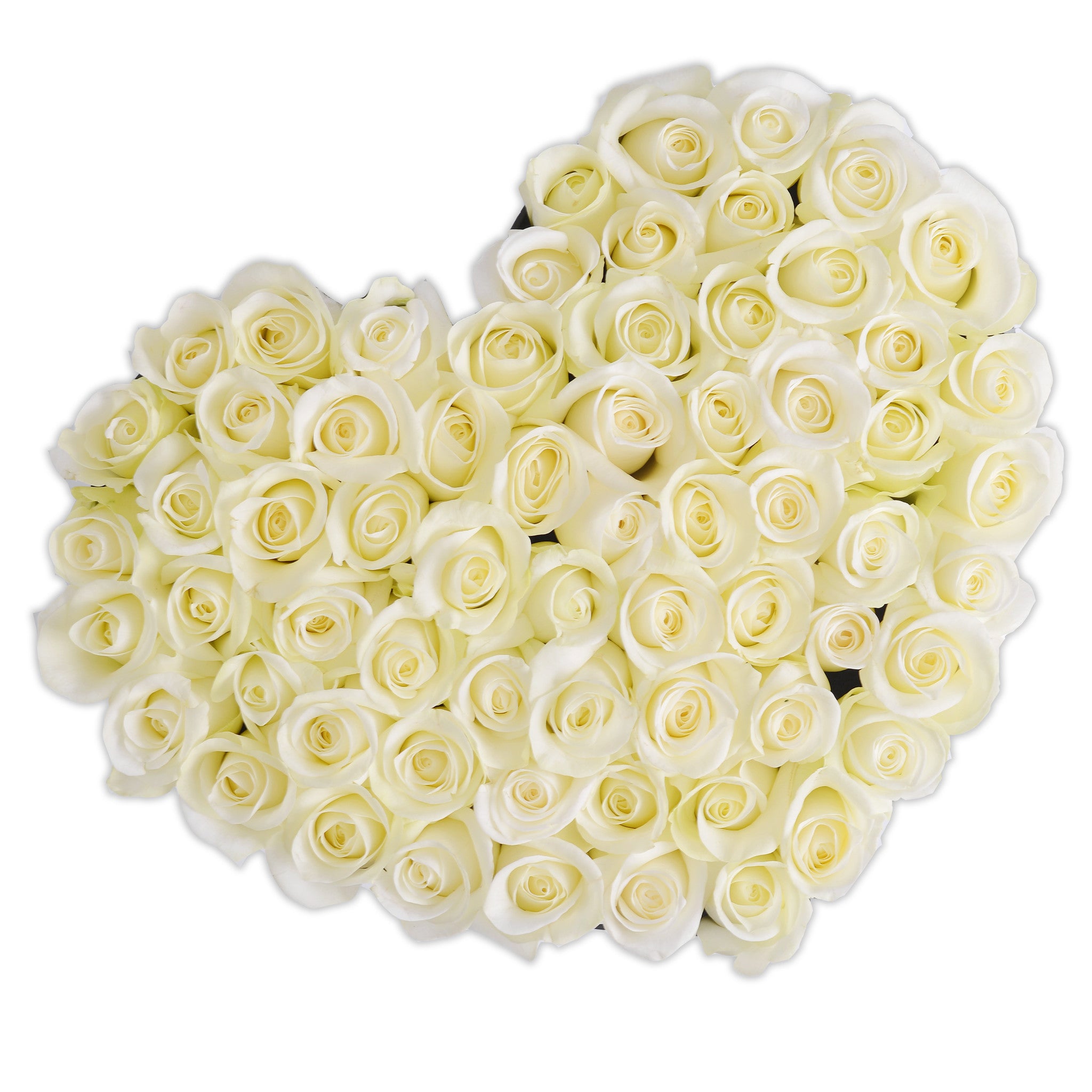 Heart - White Roses - Black Box - The Million Roses Budapest