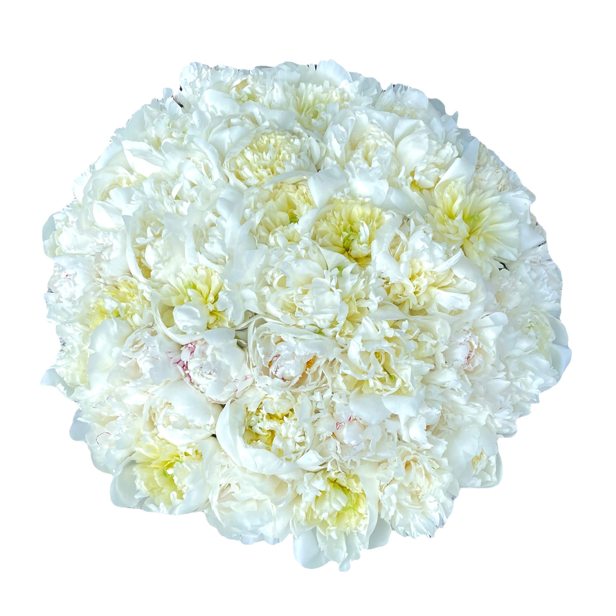 Heaven on earth - Buchet de Bujori albe parfumate in cutie luxury