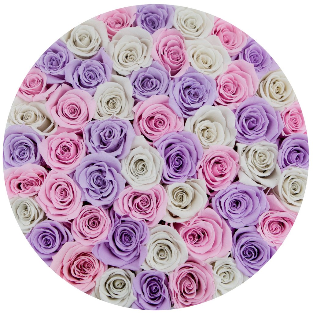 Trandafiri criogenați in cutie alba Medie -Princess selection