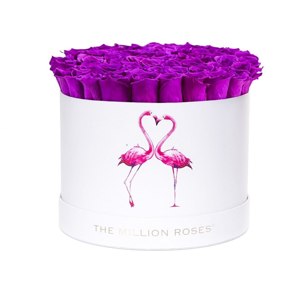 Aranjament de trandafiri criogenați Deep Purple in cutie medie "Flamingo"