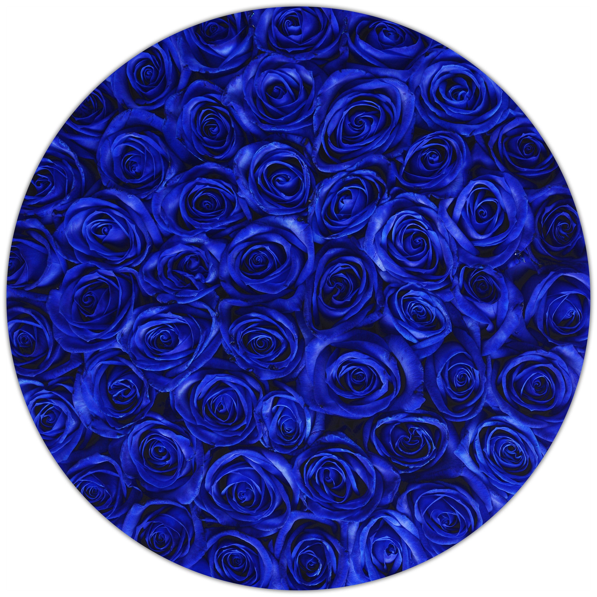 Medium - Blue Roses - White Box - The Million Roses Budapest