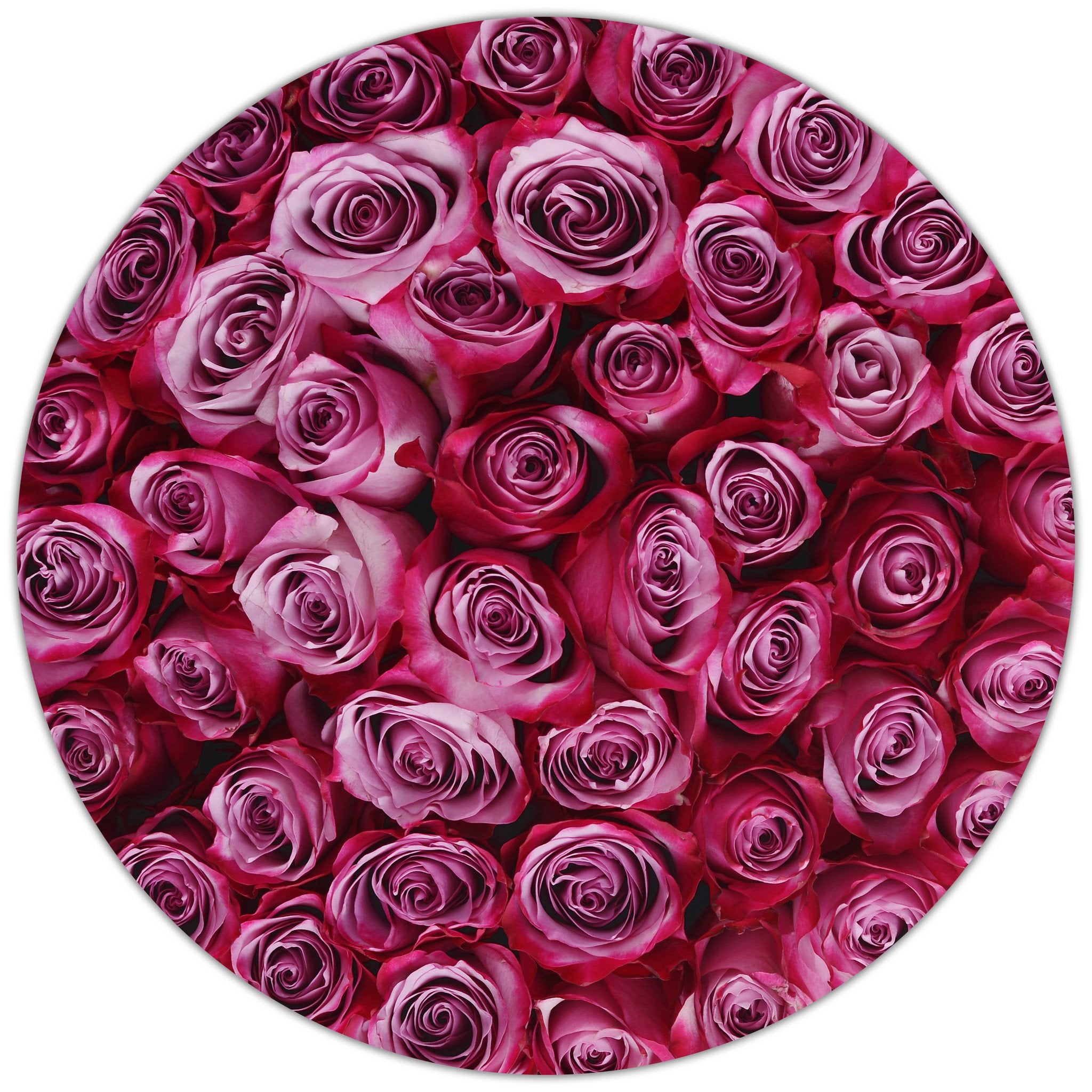 Aranjament floral cu trandafiri naturali mov Deep Purple in cutie medie