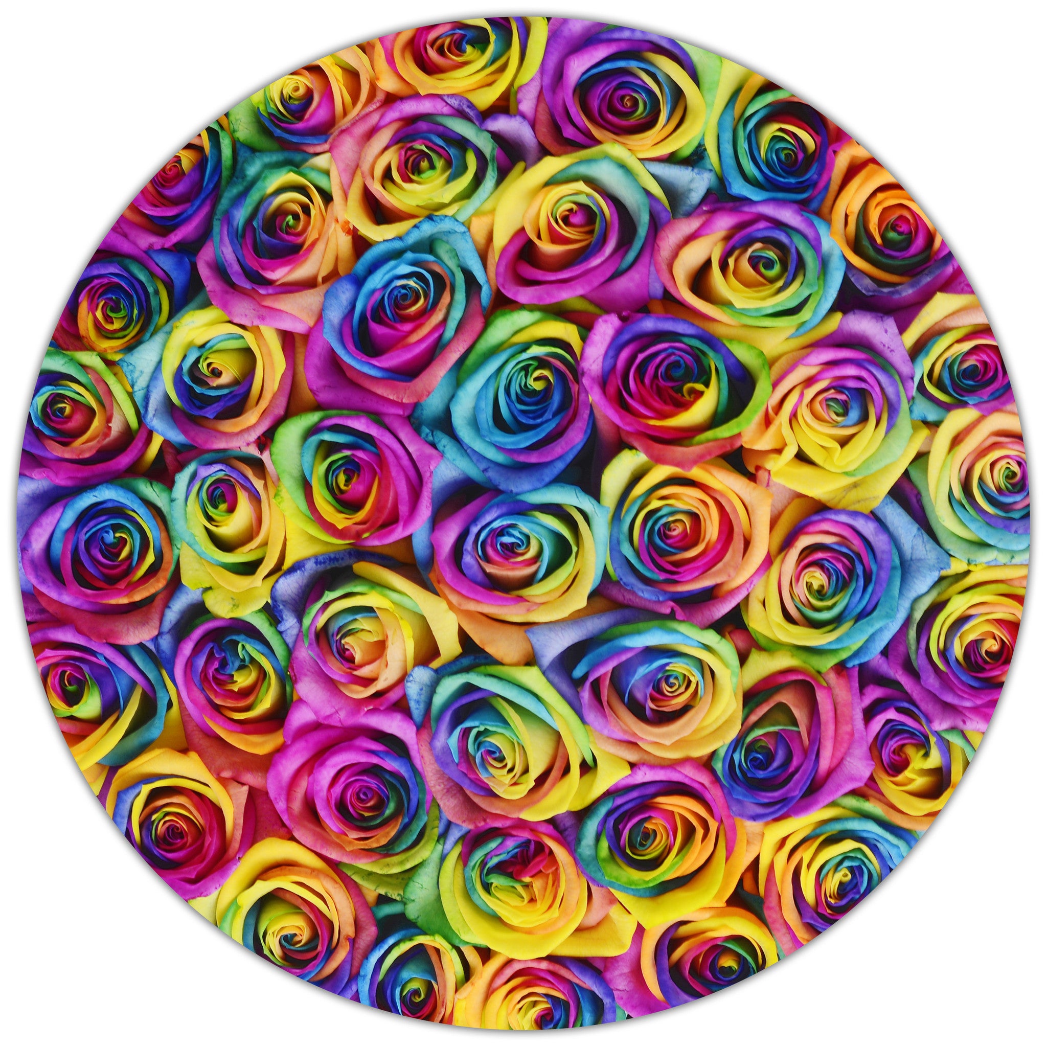 Cube - Rainbow Roses - White Box - The Million Roses Budapest