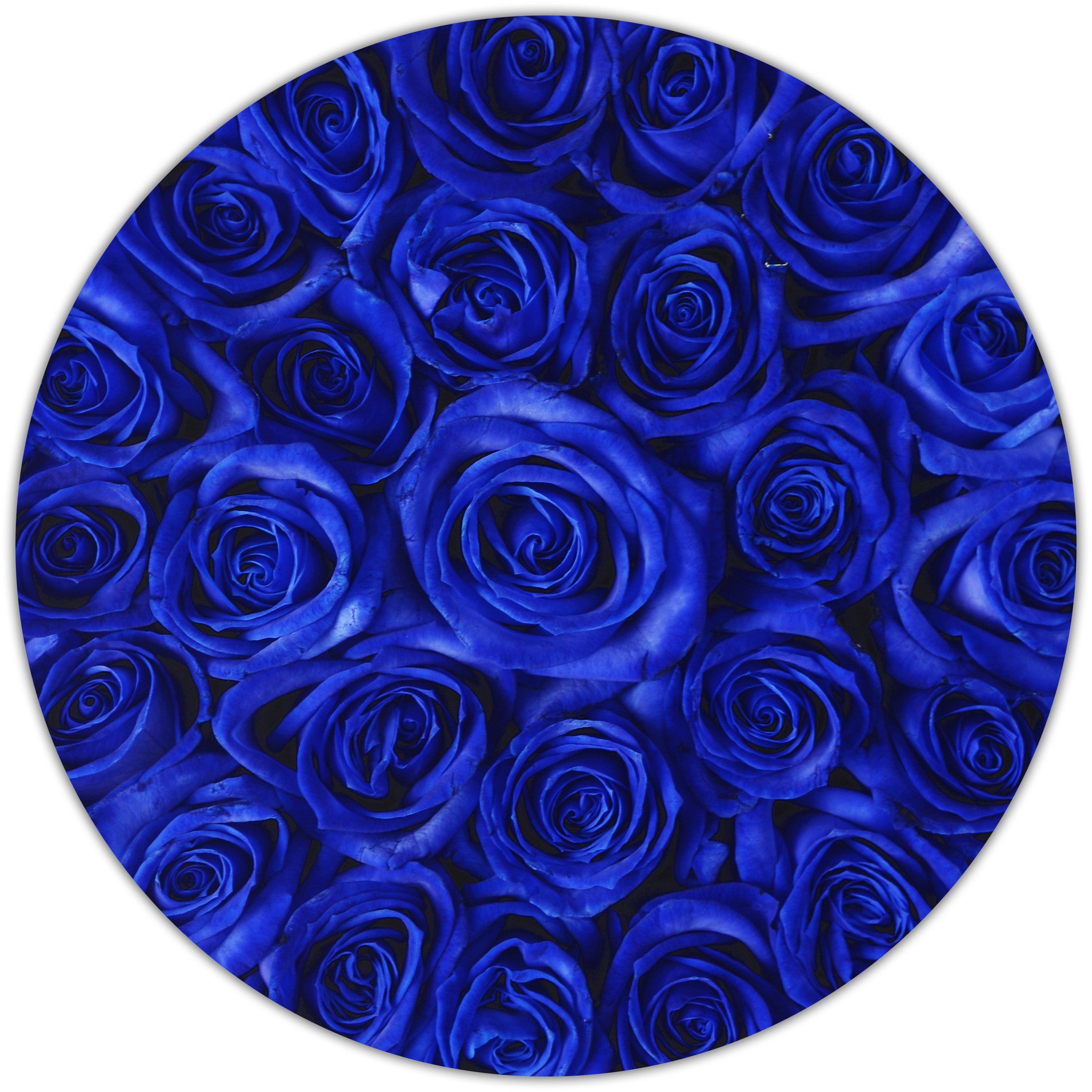 Small - Blue Roses - White Box - The Million Roses Budapest