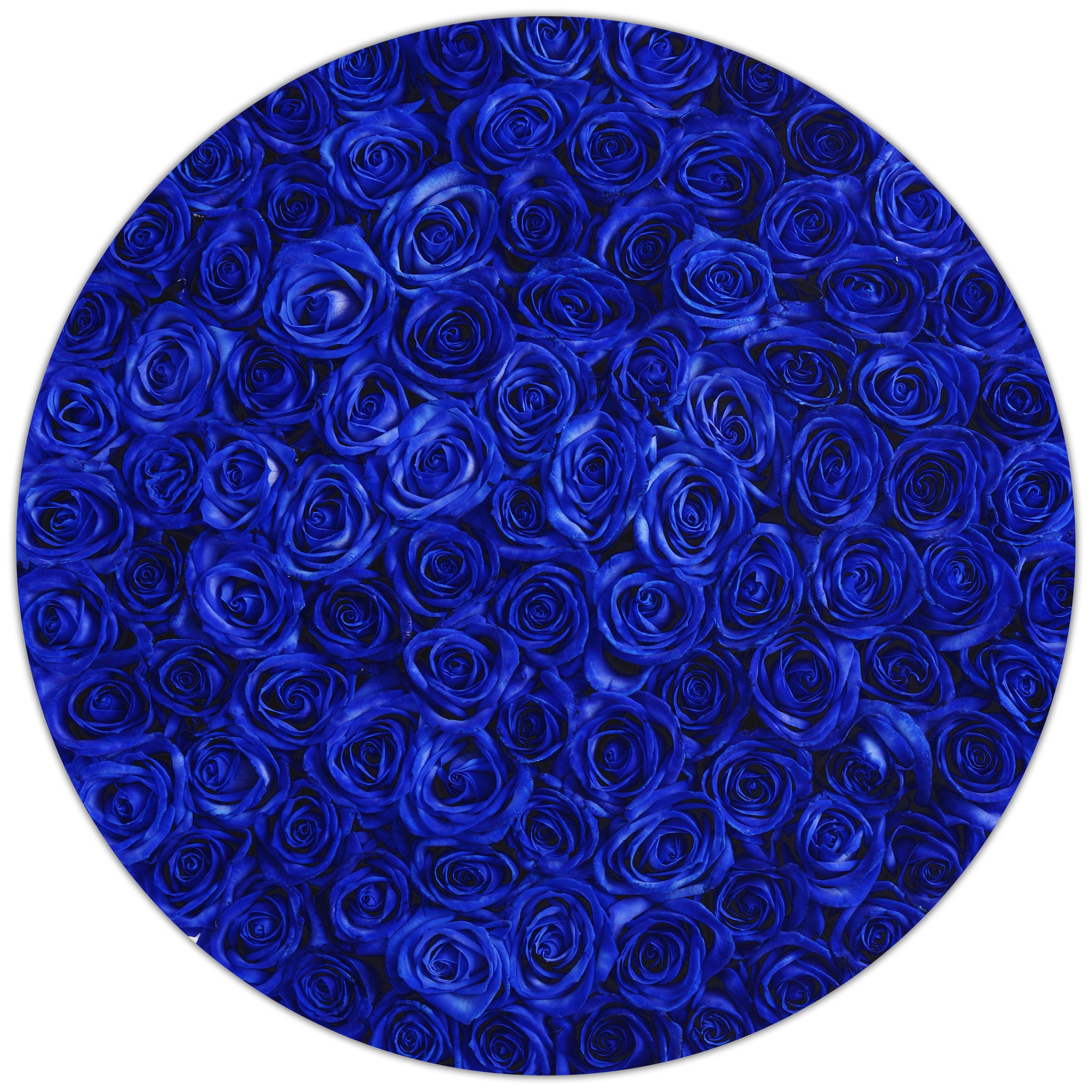 The Million - Blue Roses - White Box - The Million Roses Budapest
