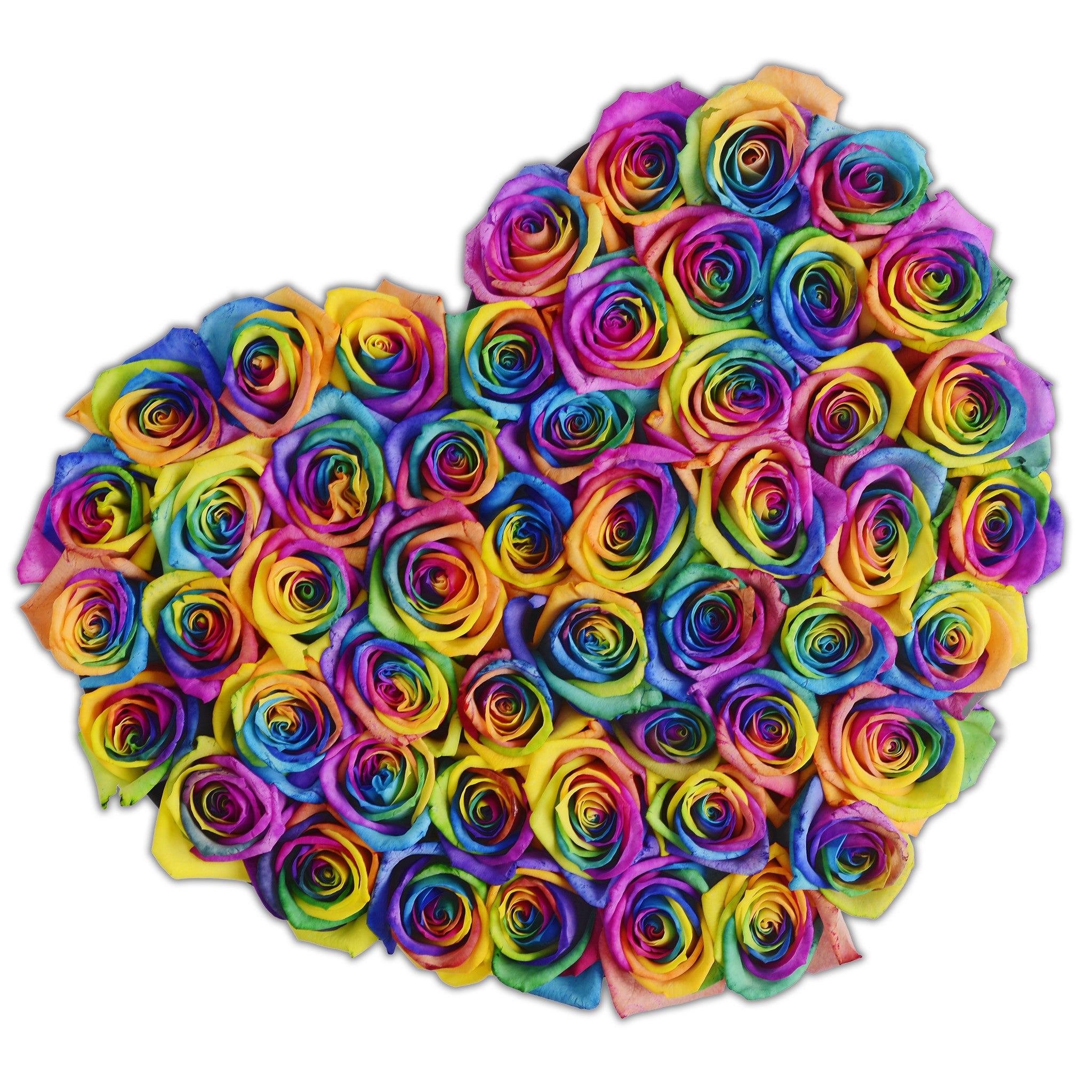 Heart - Rainbow Roses - Black Box - The Million Roses Budapest