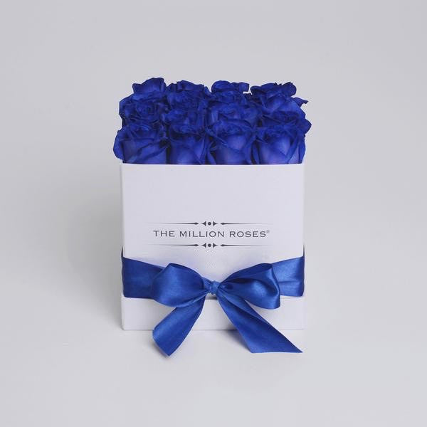 Cutie pătrată cu trandafiri naturali albaștri
