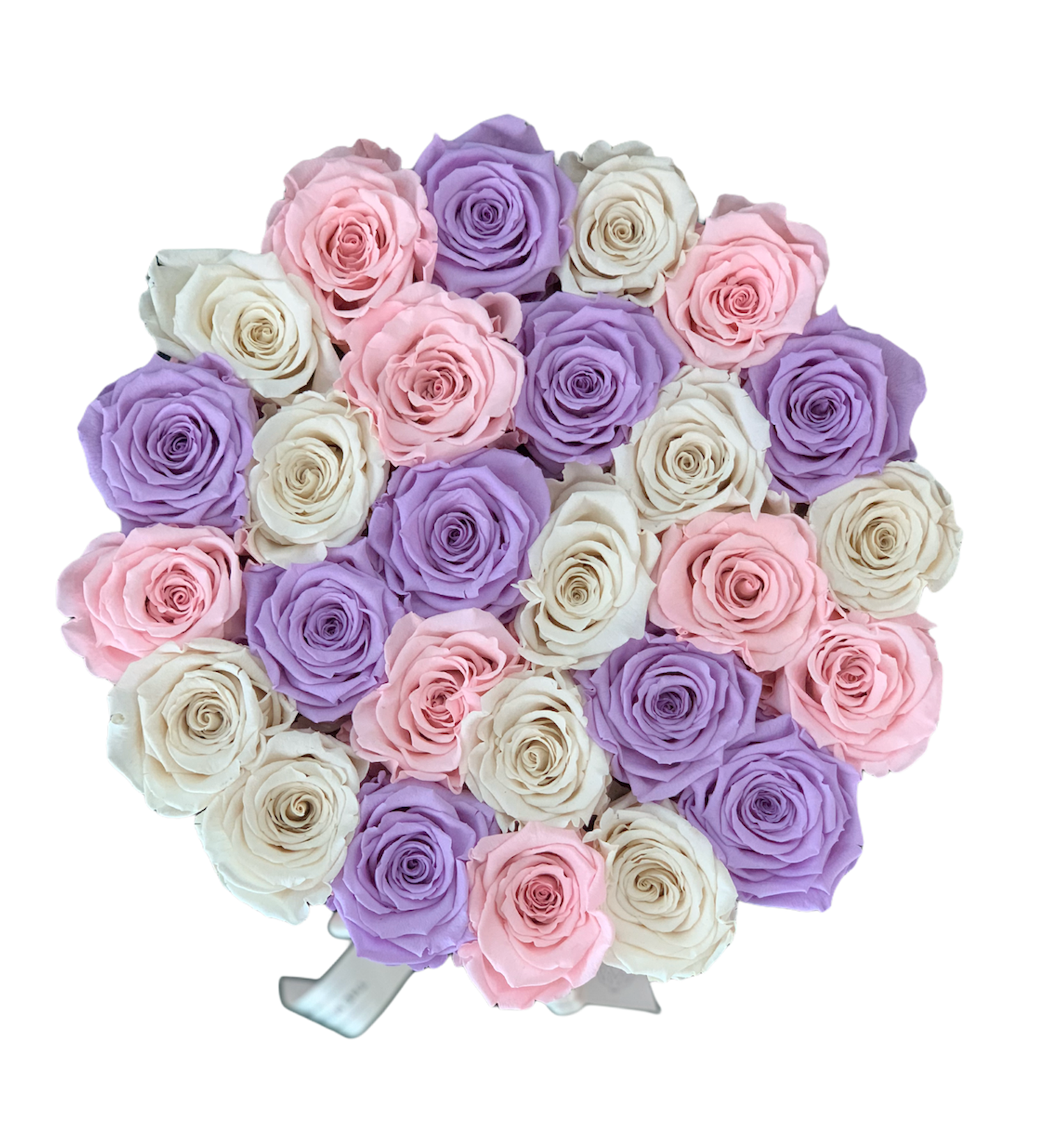 Trandafiri criogenați in cutie medie de catifea The Princess collection