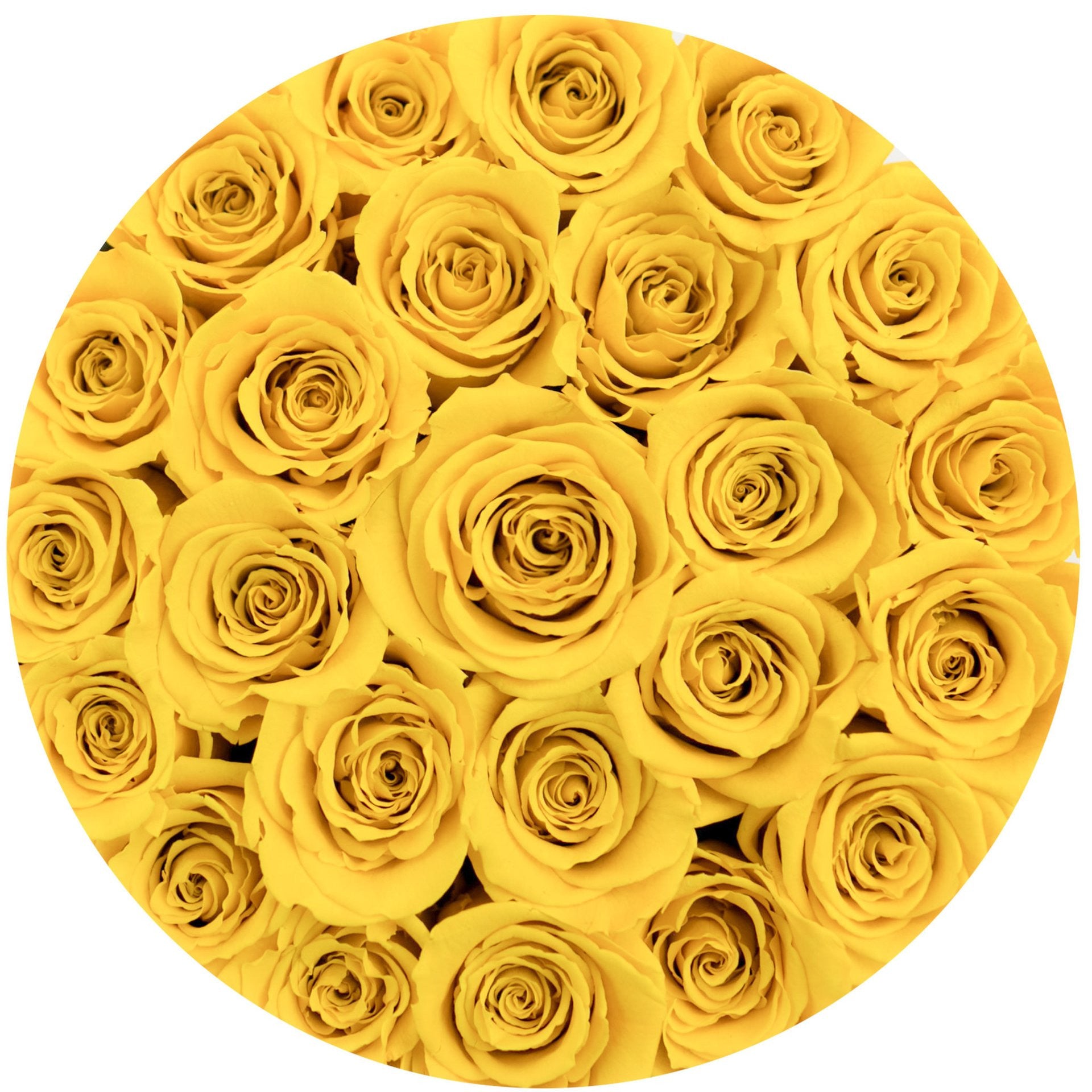 Aranjament floral cu trandafiri naturali galbeni în cutie mică