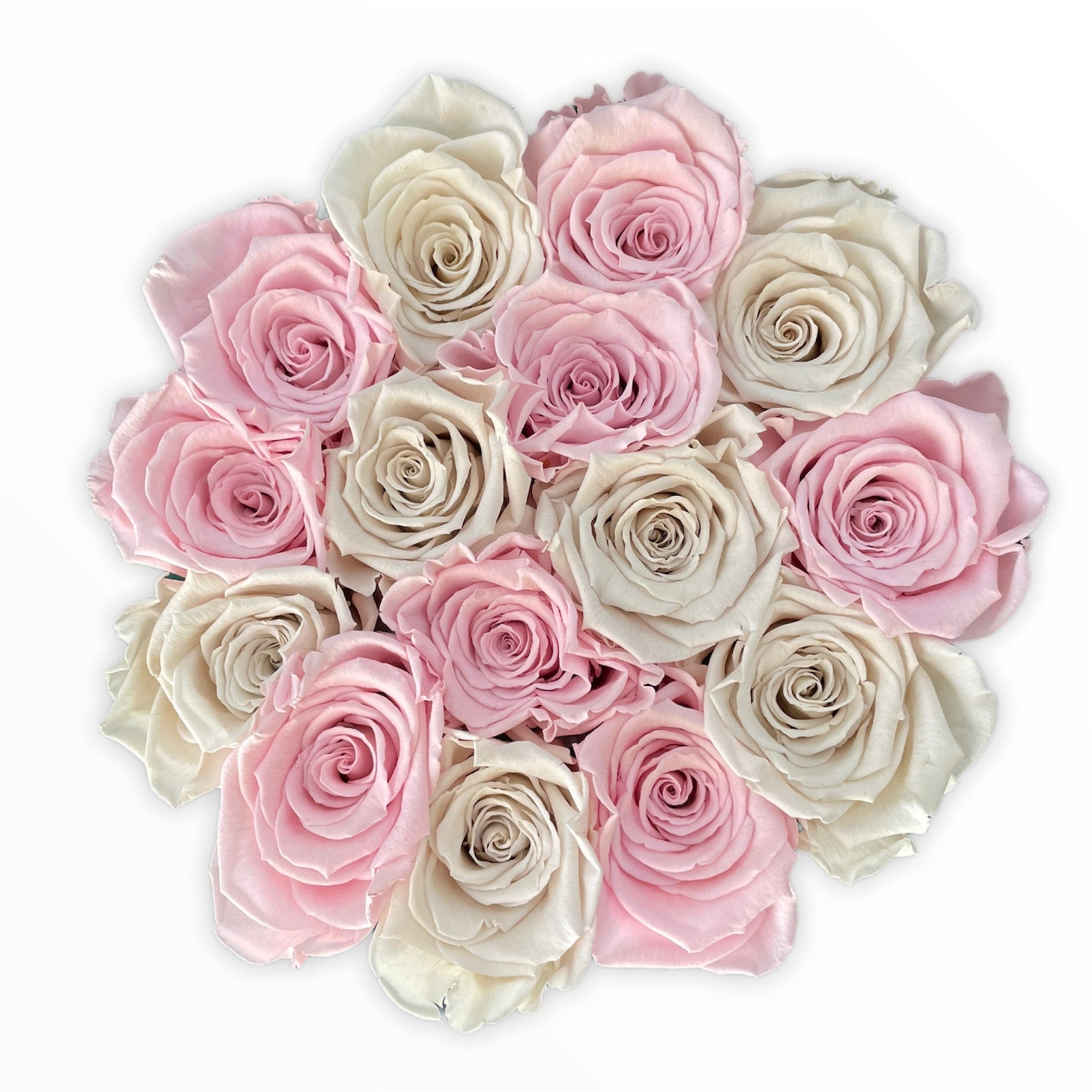 Summer time- Trandafiri criogenati albi&roz in cutie mică