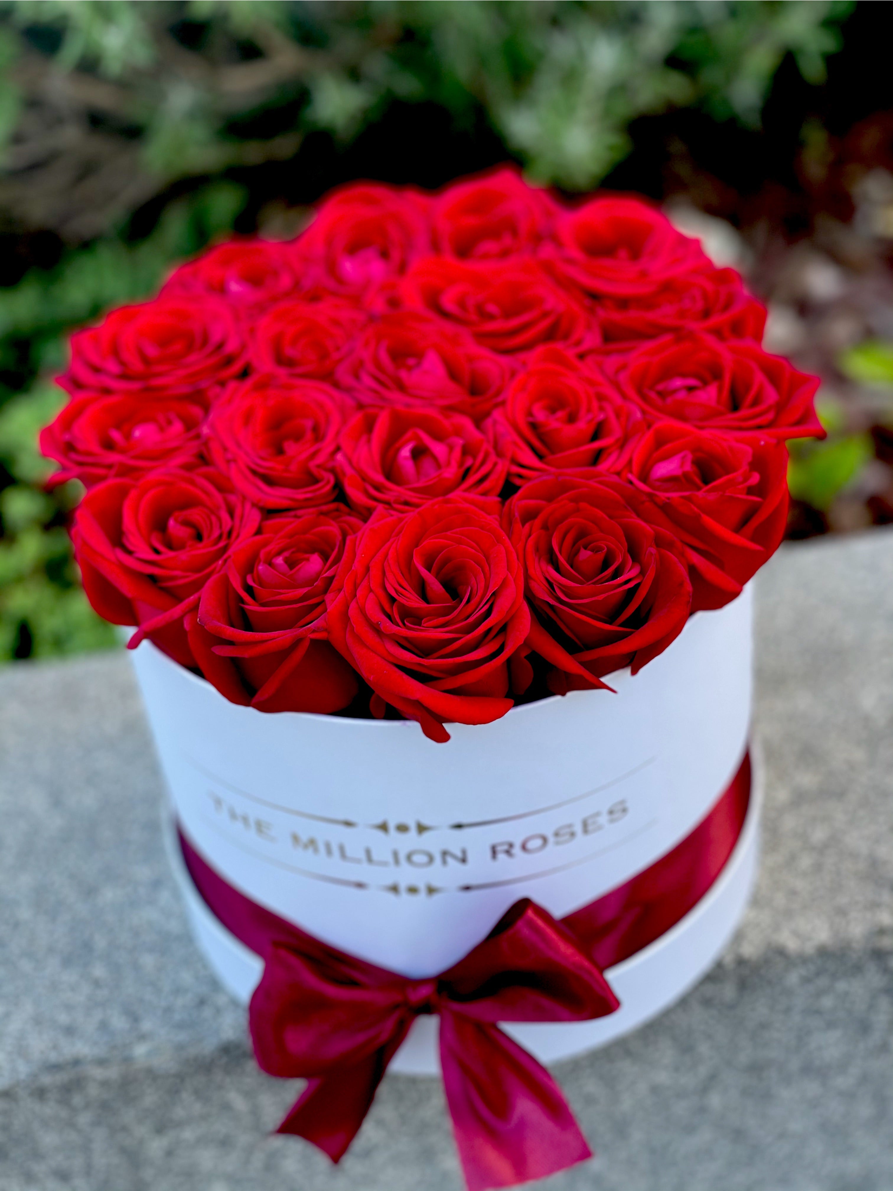 Trandafiri naturali roșii - Cutie albă mică