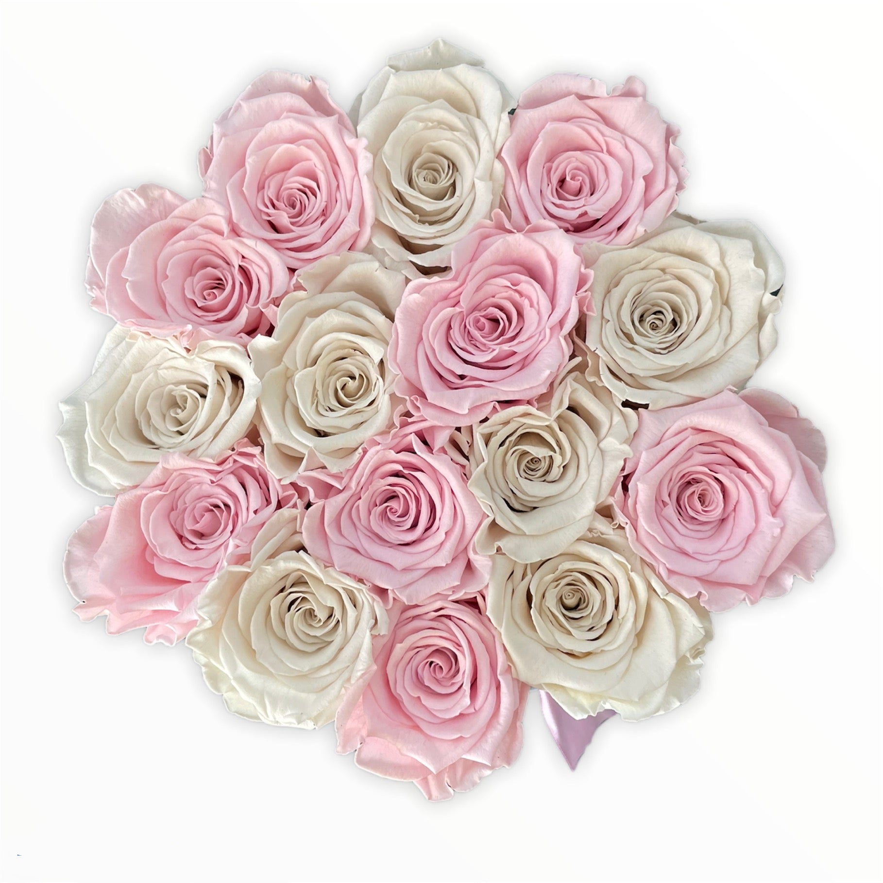 Trandafiri criogenati roz și albi in cutie mică
