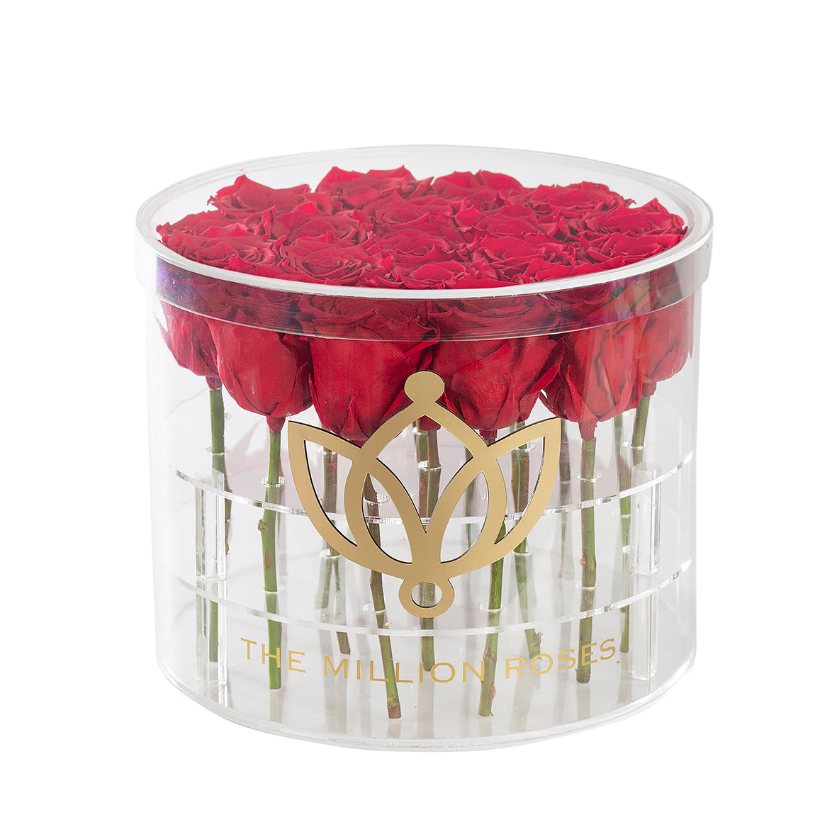 ETERNITY LOVE-Cutii de crystal cu trandafiri criogenați- cutie medie