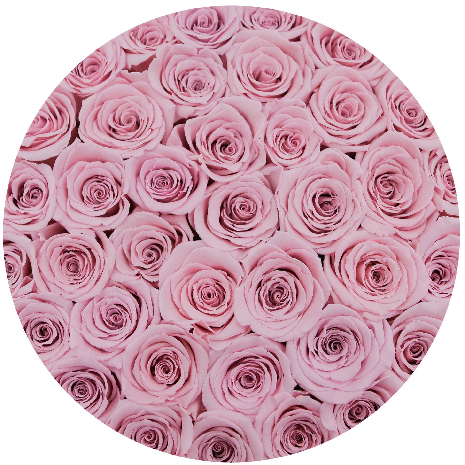 Aranjament floral cu trandafiri naturali roz în cutie medie