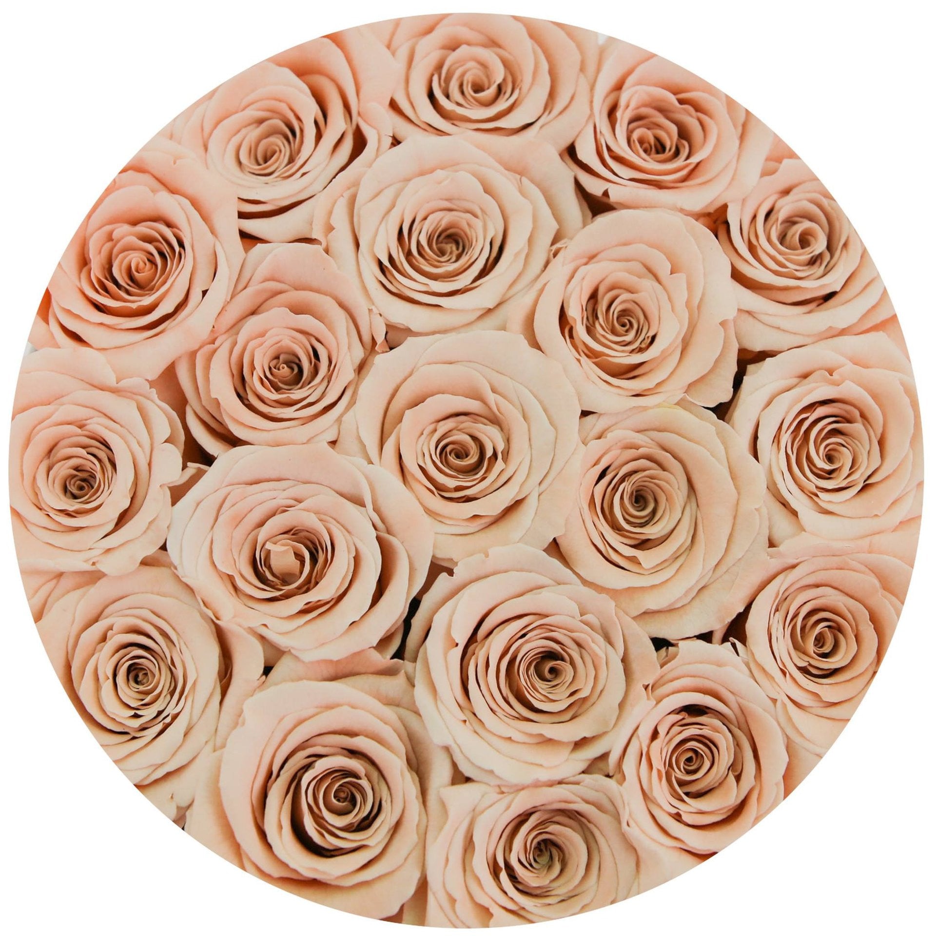 Aranjament cu trandafiri somon - Cutie mică