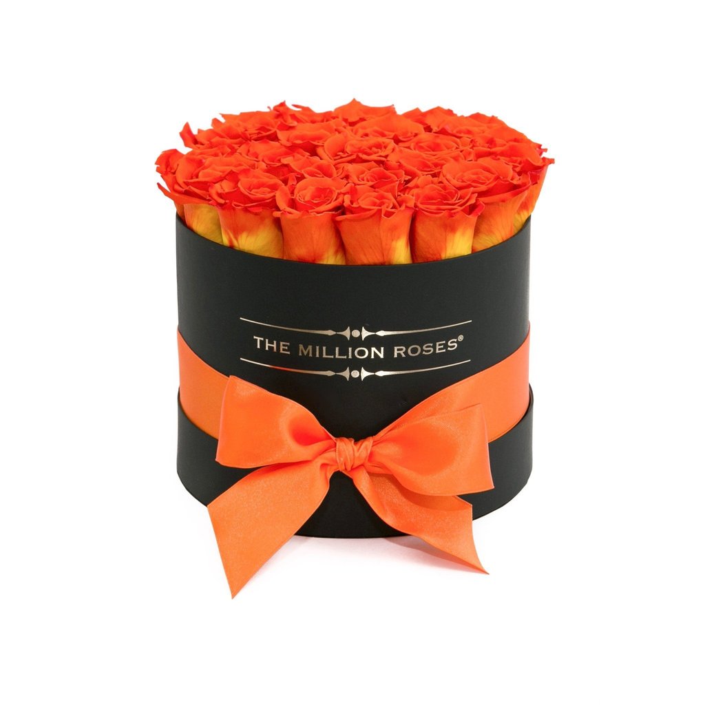 Trandafiri criogenati portocalii -Hermes love