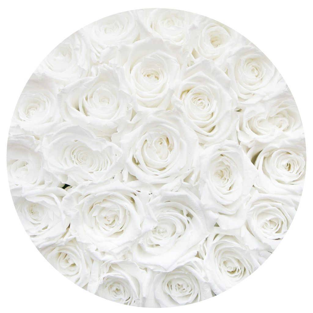Aranjament de trandafiri criogenați albi in cutie mică