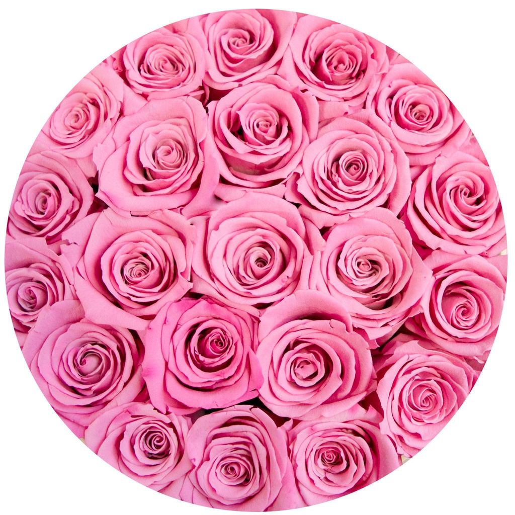 Trandafiri naturali roz in cutie mică crem