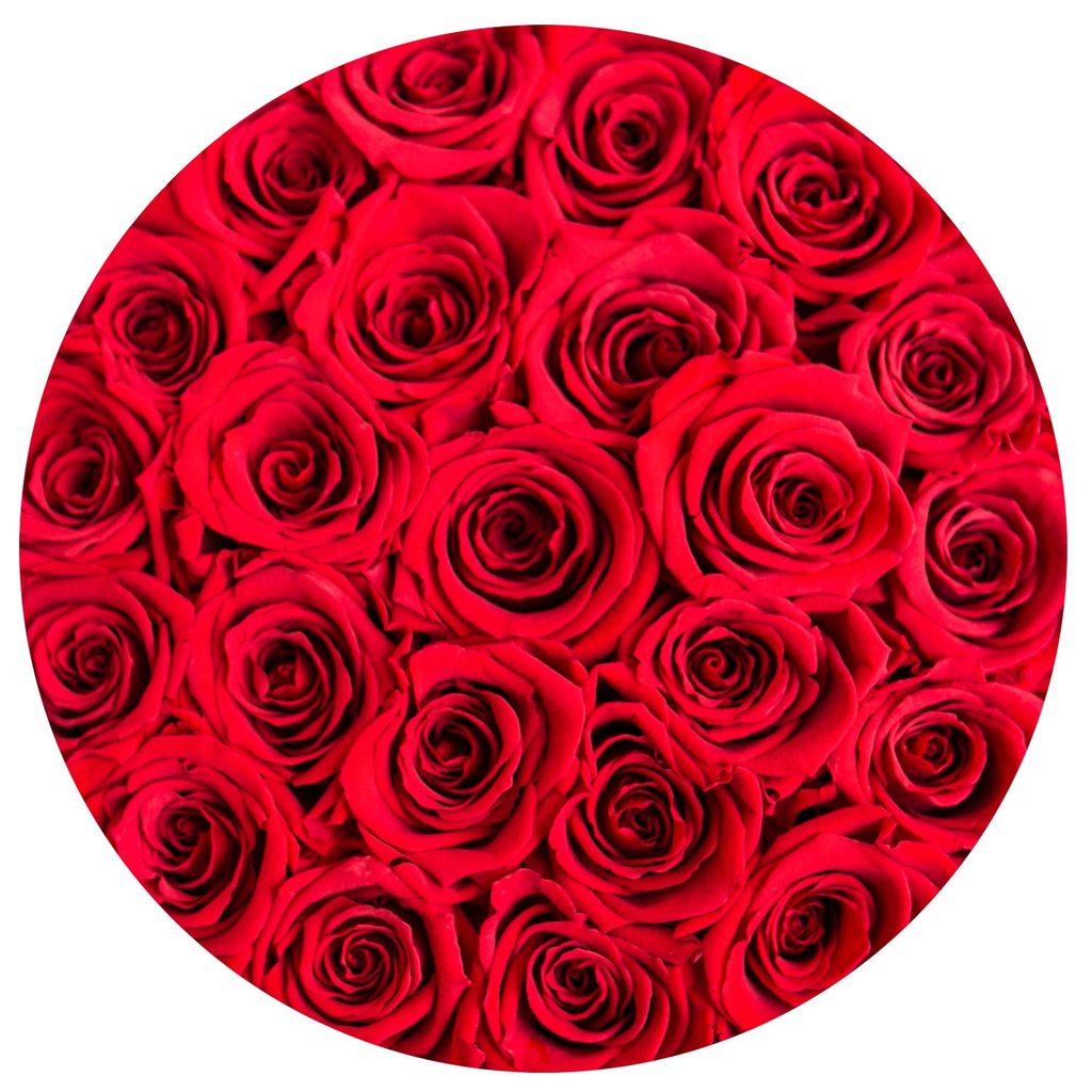 Trandafiri criogenati rosii in cutie neagră mică