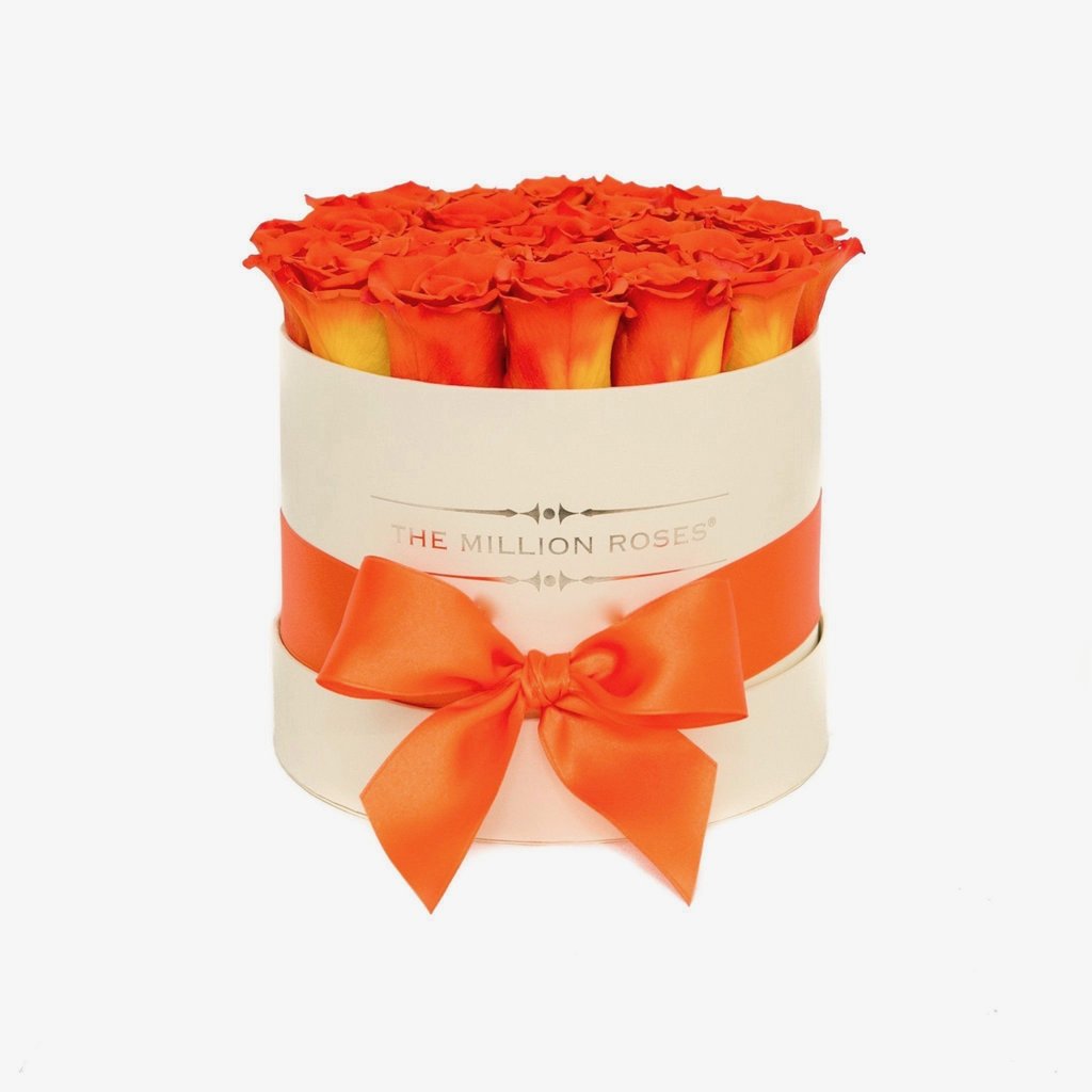 Trandafiri criogenati portocalii- Hermes love