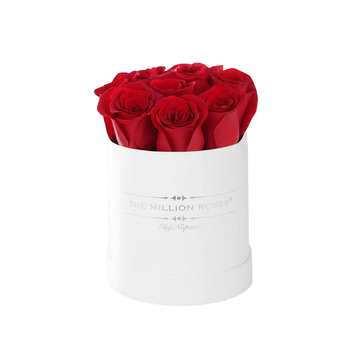buchete trandafiri in cutie, buchete trandafiri naturali in cutie, trandafiri naturali, trandafiri rosii, trandafiri in cutie alba, 